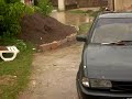 Bailey's House Hurricane jamaica