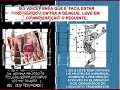 Aedes Aegypti e Dengue Hemorrágica.