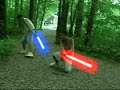Endor Lightsaber Battle - LS Maker