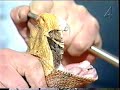 Se video