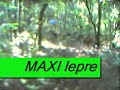monteconero mountainbike porto potenza picena