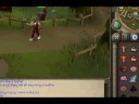 Me Leveling On RS
