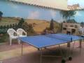 Tenis de mesa vdb