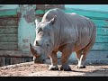 Animales en cautiverio