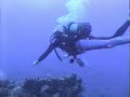 Maldive immersioni ( dive ) 3° parte Maldive immersioni ( dive ) 3° parte
