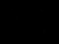 pinokio 