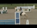 Addington Show Jumping