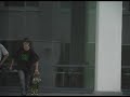 VA Skateboards Quick Flick 2008 VA Skateboards Quick Flick 2008
