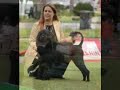 Videoclip Estoril Dog Shows PWD Specialty 2007 Videoclip Estoril Dog Shows PWD Specialty 2007
