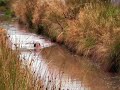 World Bog Snorkelling Championships 2007