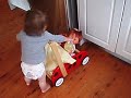 Cliona learning to walk