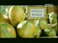 Jamu-Tolak-Angin