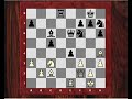 Letsplaychess.com presents Kasparov vs Timman 1993