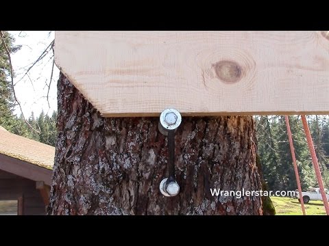 how to tree house