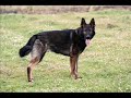 WORTHYS FAROUK TRAINNING WORTHYS FAROUK TRAINNING