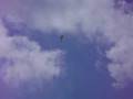 Negativo en Valle de Bravo -involutario-