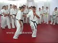 Maxim Dedik is teaching Kyokushin