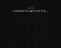 alex fan des canardskystes