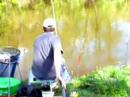 Czech Coarse & Fly Fishing - Match Fishing