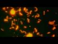 Other than light, what else could fuel life? Chemosynthesis - Evolution deprived of the Sun's energy