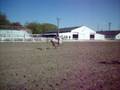 videos de 100_1027.mov