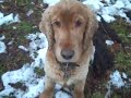 Feb 05 2009 - VID00393
