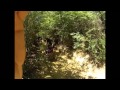 At Tower Trax On April 20, 2013