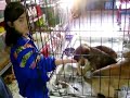 Caceres Pet Shop
