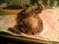 piton-del-gordo-de-cai.html