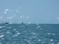 Thai Fishing Boats on the way to the Thai National Marine Park off of Koh Samui Thailand Thai Fishing Boats on the way to the Thai National Marine Park off of Koh Samui Thailand