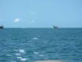 videos de Thai Fishing Boats on the way to the Thai National Marine Park off of Koh Samui Thailand