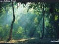 PAYSAGE D\ PAYSAGE D\