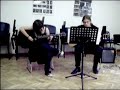 Beyond the Sunset - performed by Eniyel ft. Kobold Bard