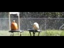 1200FPS