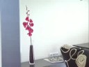 Proyecto realizado para Jamper en el sur de Tenerife. A destacar la amplia zona de piscina y el movimiento de personajes en 3D.