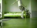 StarCrime || Short Jump StarCrime || Short Jump