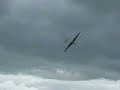 Slingsby Petrel in flight Slingsby Petrel in flight