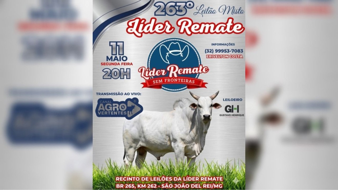 263º LEILÃO MISTO LÍDER REMATE - SÃO JOÃO DEL REI/MG - 11/05/2026