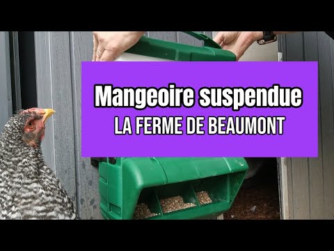 Mangeoire pour poulets et canards, mangeoire automatique à 6 ports, réutilisable | Leroy Merlin