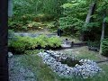 black-bear-tearing-down-bird-feeder.html