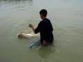 drilling a giant mekong catfish drilling a giant mekong catfish