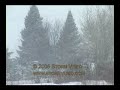 Blizzard