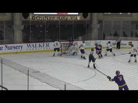 The Michigan vs ice dogs