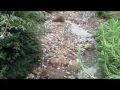 Footsteps in Kibera.MP4