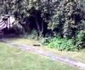A clip from a non-championship game of Monkey Butler filmed in August 2007