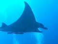 Ishigaki Manta 2006