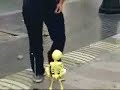 Video anschauen