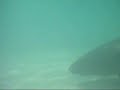 jcXEwK50L0k
