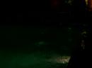 natation