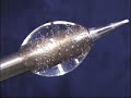 Nucleate Boiling in Microgravity